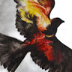 Meet your Posher, Kristin